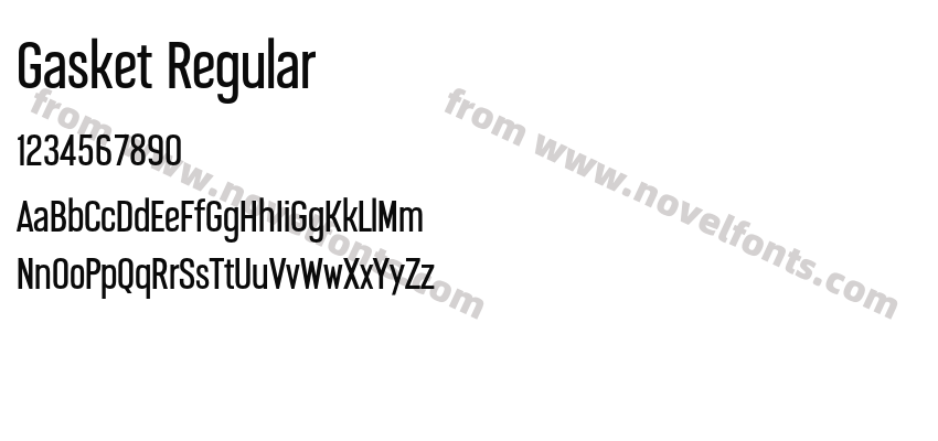 Gasket RegularPreview