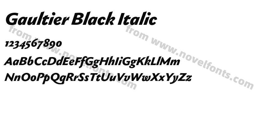 Gaultier Black ItalicPreview