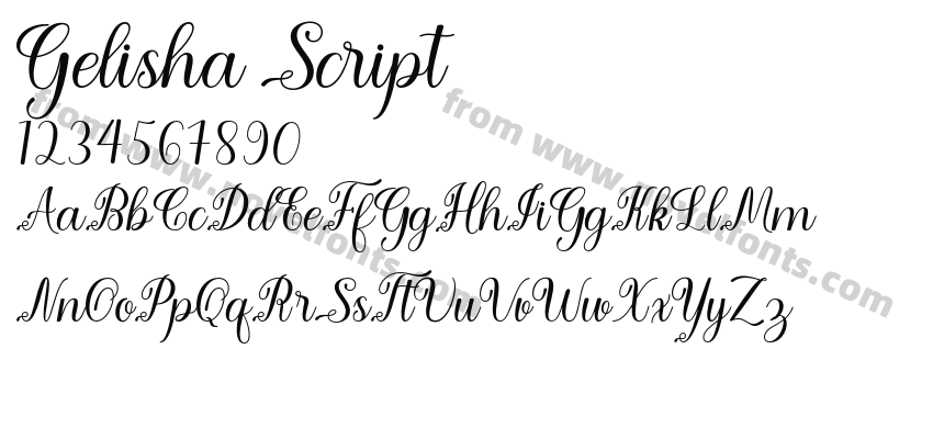 Gelisha ScriptPreview