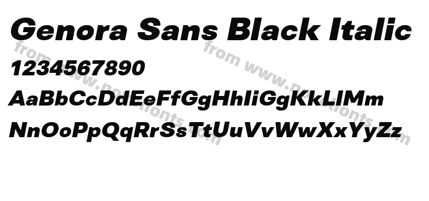 Genora Sans Black ItalicPreview