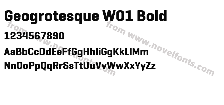 Geogrotesque W01 BoldPreview