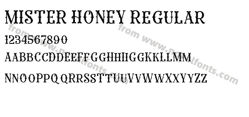 MISTER HONEY RegularPreview