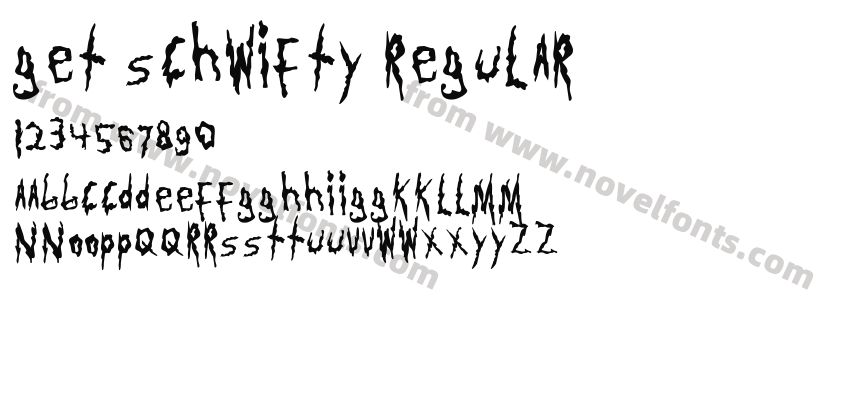 Get Schwifty RegularPreview