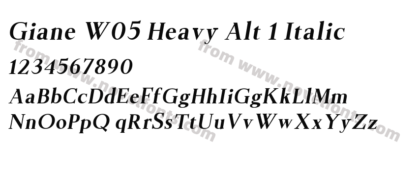 Giane W05 Heavy Alt 1 ItalicPreview