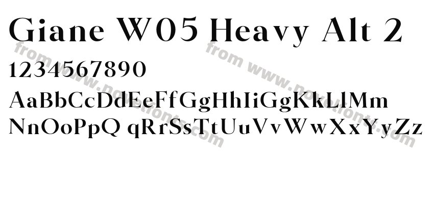 Giane W05 Heavy Alt 2Preview