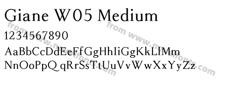 Giane W05 MediumPreview