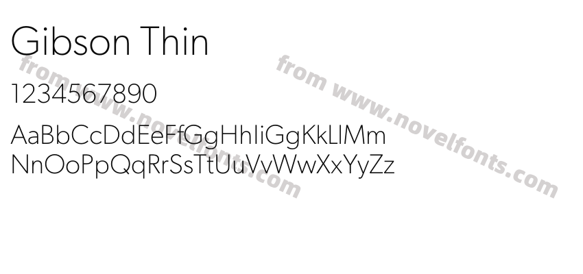 Gibson ThinPreview