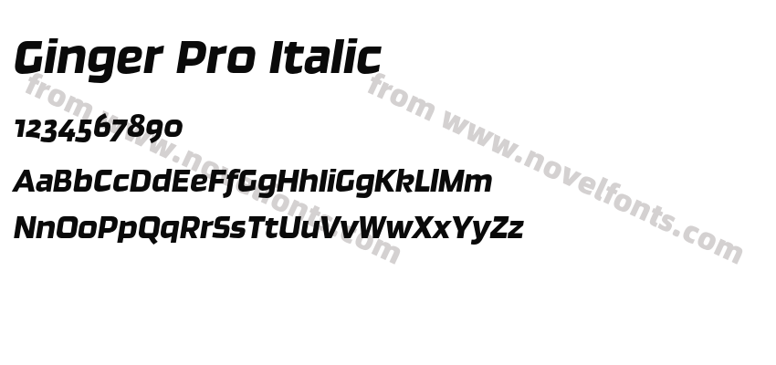 Ginger Pro ItalicPreview
