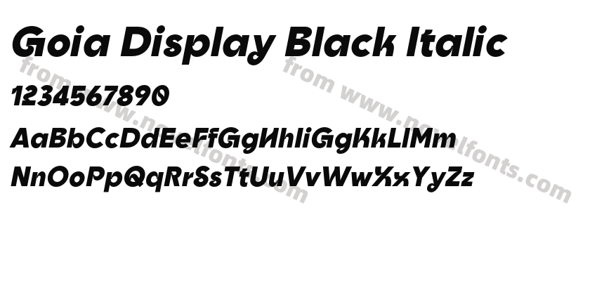Goia Display Black ItalicPreview