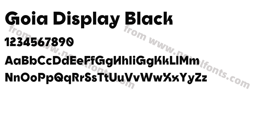 Goia Display BlackPreview