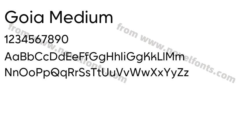 Goia MediumPreview