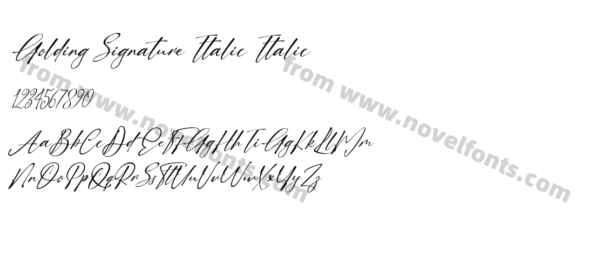 Golding Signature Italic ItalicPreview