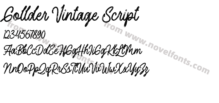 Gollder Vintage ScriptPreview
