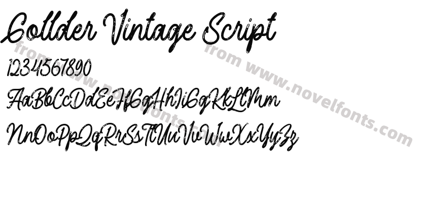 Gollder Vintage ScriptPreview