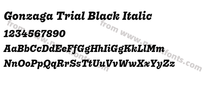 Gonzaga Trial Black ItalicPreview