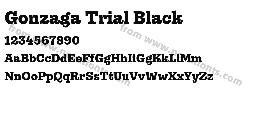 Gonzaga Trial BlackPreview