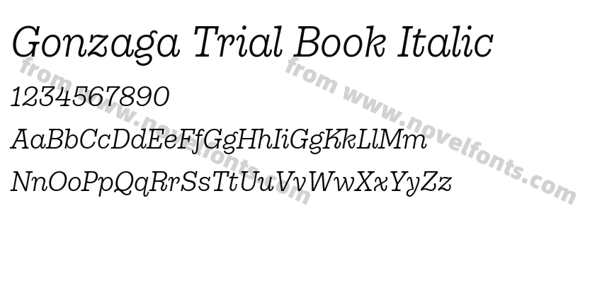 Gonzaga Trial Book ItalicPreview