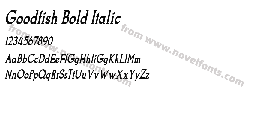 Goodfish Bold ItalicPreview