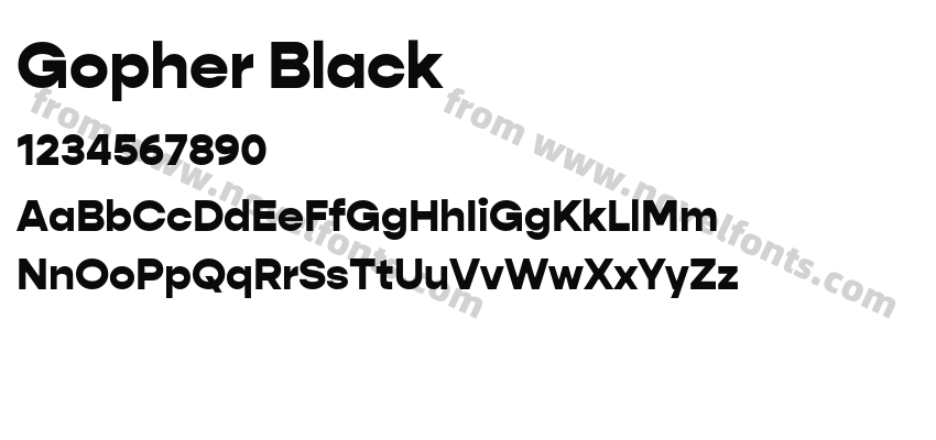Gopher BlackPreview