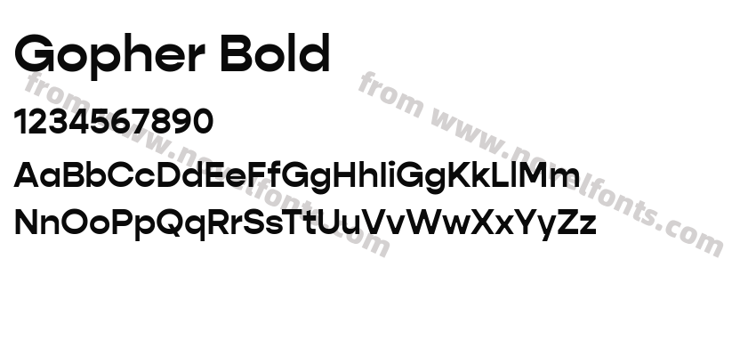 Gopher BoldPreview