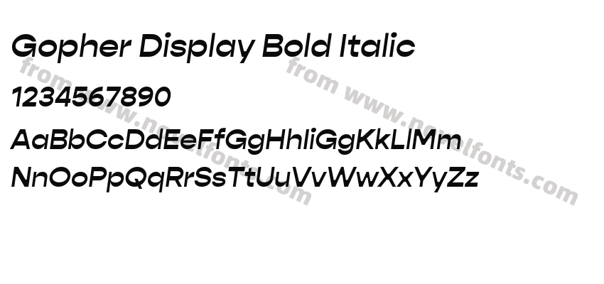 Gopher Display Bold ItalicPreview