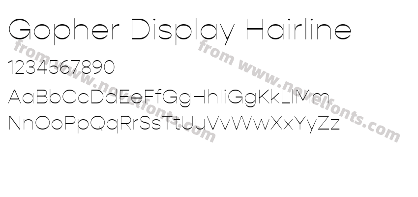Gopher Display HairlinePreview