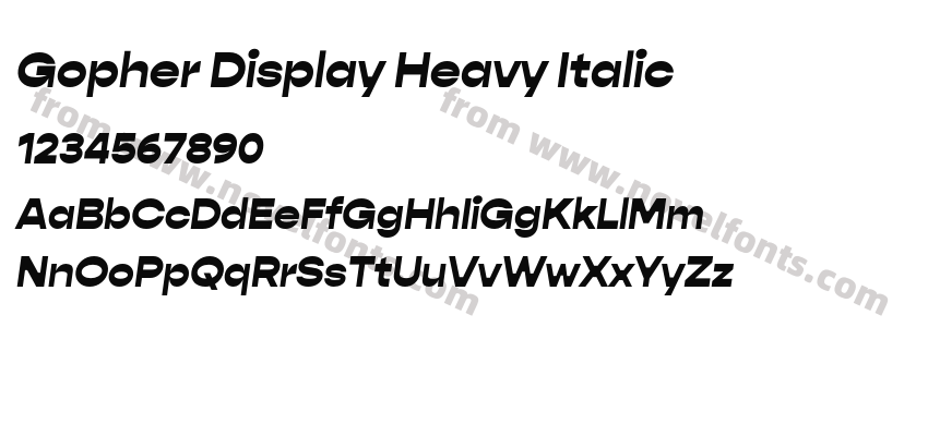 Gopher Display Heavy ItalicPreview