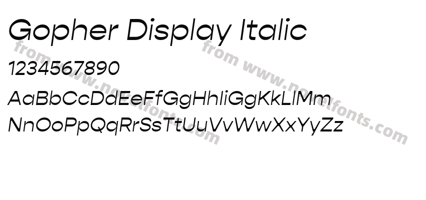 Gopher Display ItalicPreview