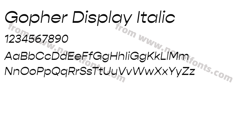 Gopher Display ItalicPreview