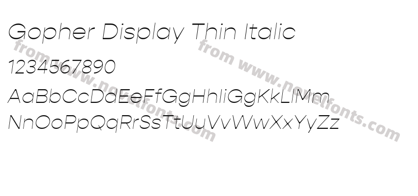 Gopher Display Thin ItalicPreview