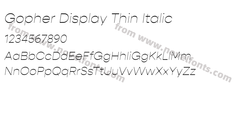 Gopher Display Thin ItalicPreview