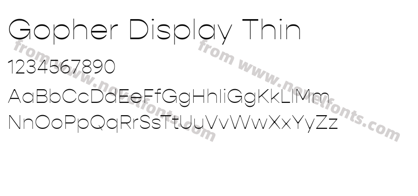 Gopher Display ThinPreview