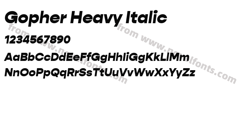 Gopher Heavy ItalicPreview