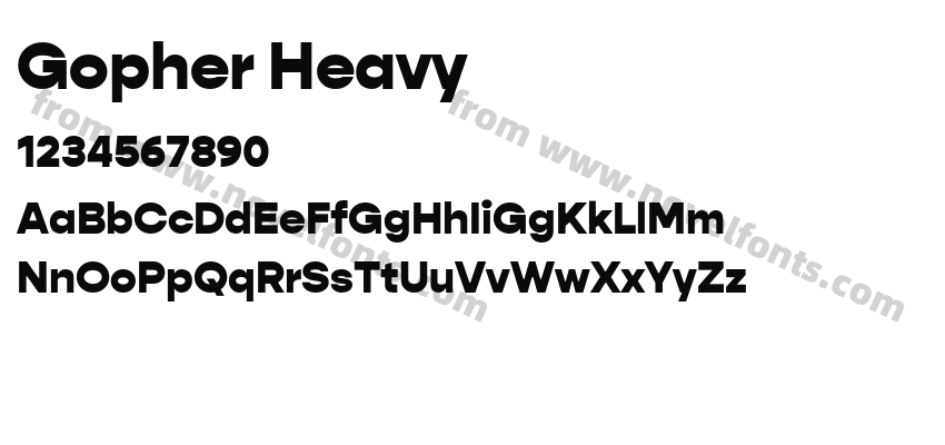 Gopher HeavyPreview