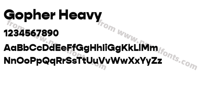 Gopher HeavyPreview