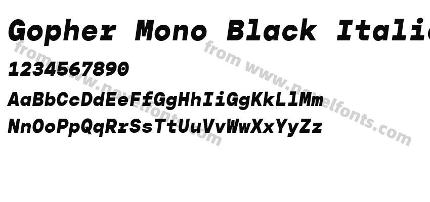 Gopher Mono Black ItalicPreview