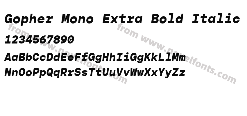 Gopher Mono Extra Bold ItalicPreview