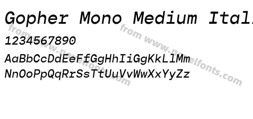 Gopher Mono Medium ItalicPreview