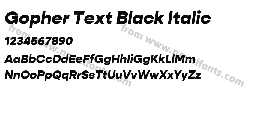 Gopher Text Black ItalicPreview