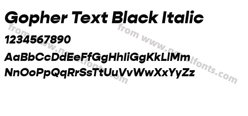 Gopher Text Black ItalicPreview
