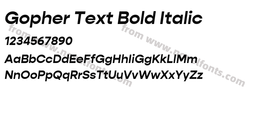 Gopher Text Bold ItalicPreview