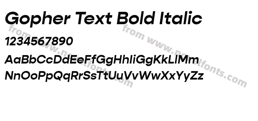 Gopher Text Bold ItalicPreview