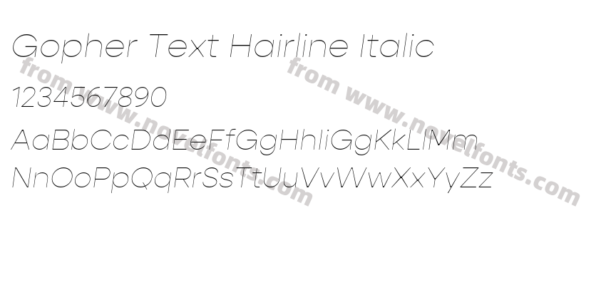 Gopher Text Hairline ItalicPreview
