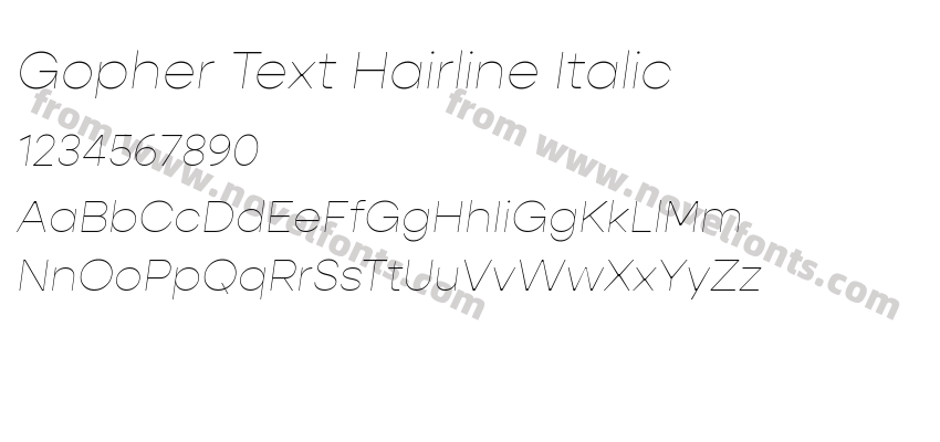 Gopher Text Hairline ItalicPreview