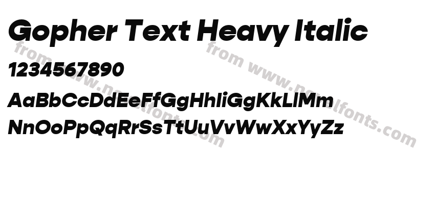 Gopher Text Heavy ItalicPreview