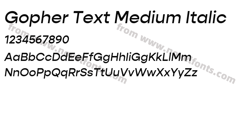 Gopher Text Medium ItalicPreview