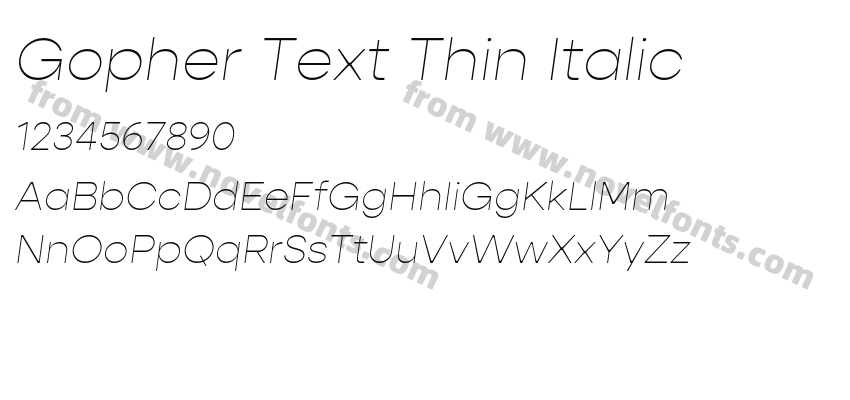 Gopher Text Thin ItalicPreview