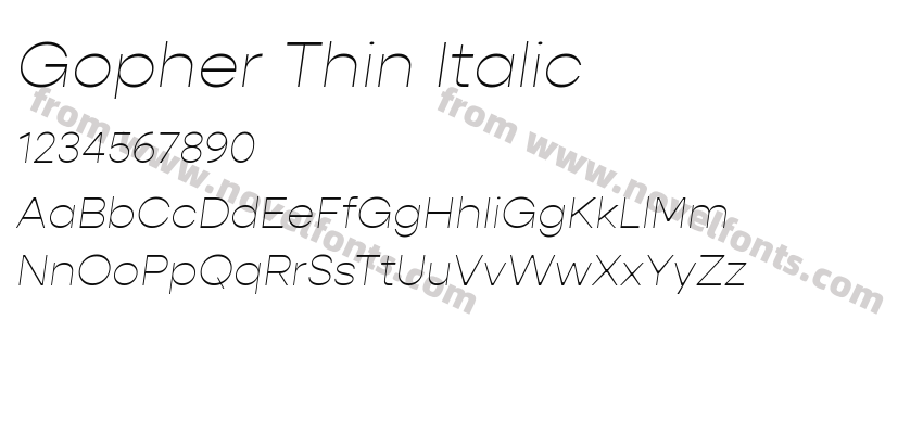 Gopher Thin ItalicPreview