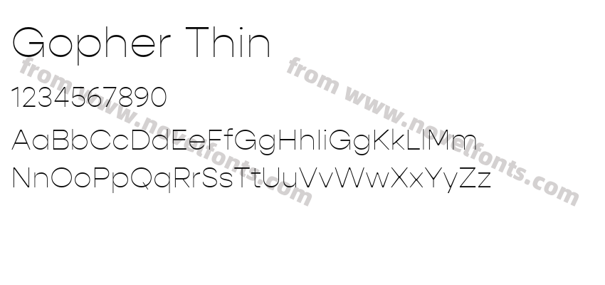 Gopher ThinPreview