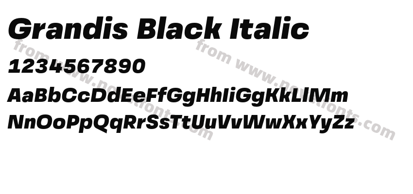 Grandis Black ItalicPreview